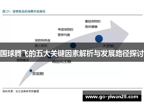国球腾飞的五大关键因素解析与发展路径探讨 国球腾飞的五大关键因素解析与发展路径探讨