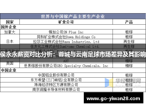 侯永永薪资对比分析:蓉城与云南足球市场差异及其影响 侯永永薪资对比分析:蓉城与云南足球市场差异及其影响